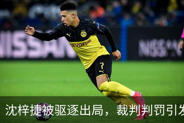 沈梓捷被驱逐出局，裁判判罚引发争议
